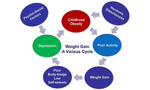 Getting The Weight Loss Programs For Kids To Work